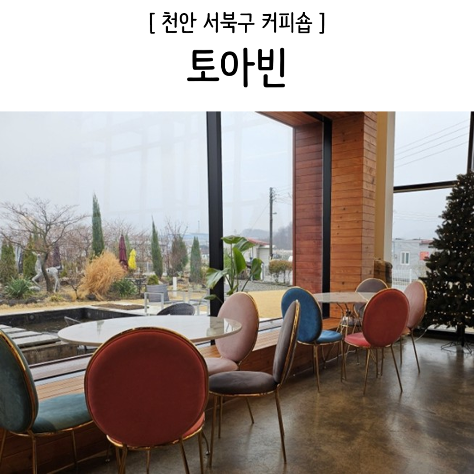 토아빈 이미지