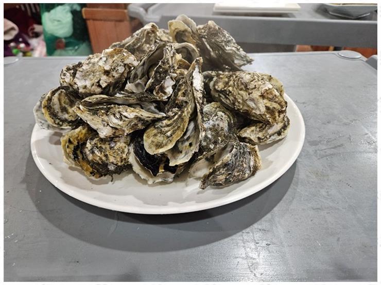 흑산도회 이미지