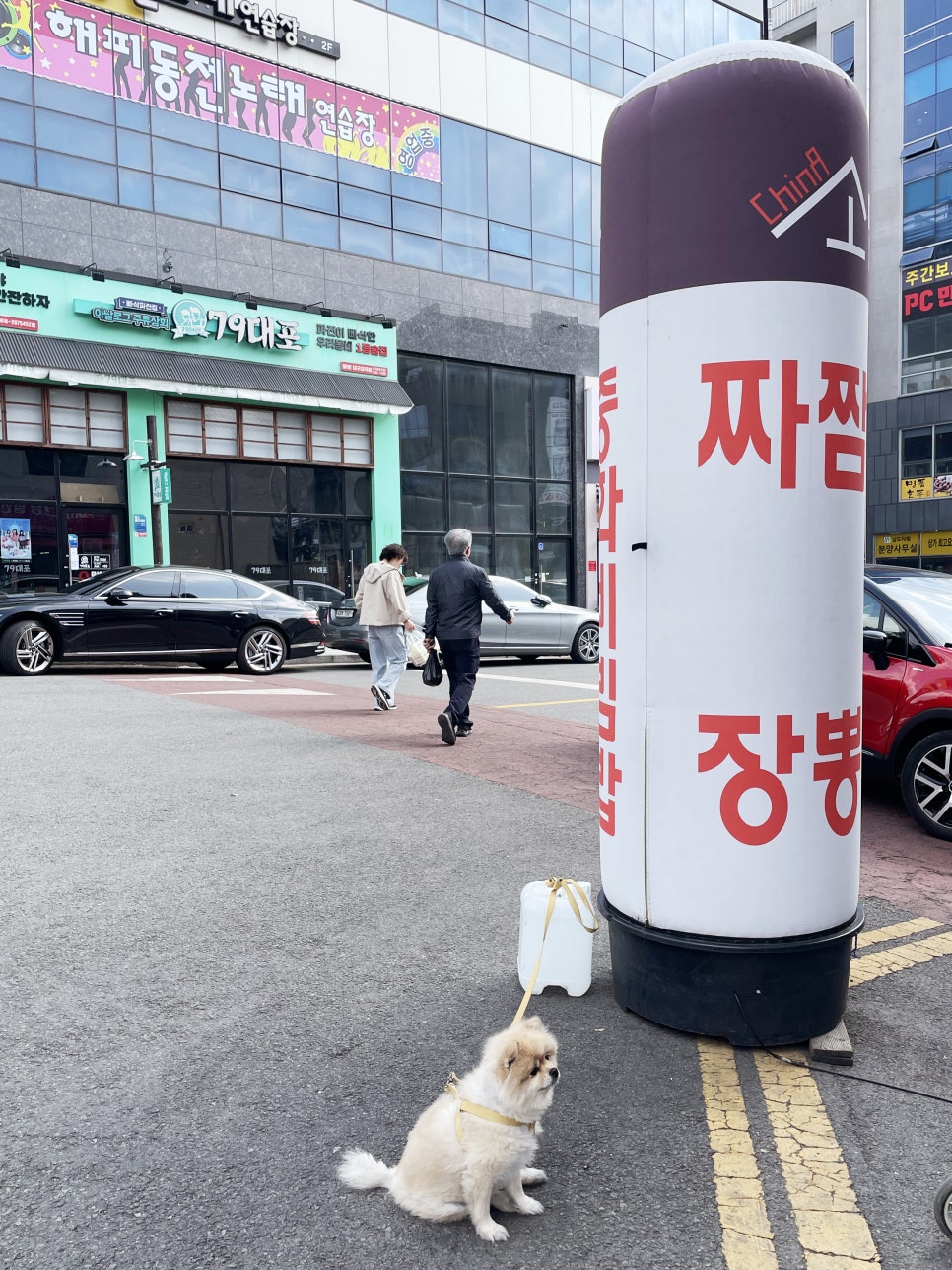차이나소담 이미지