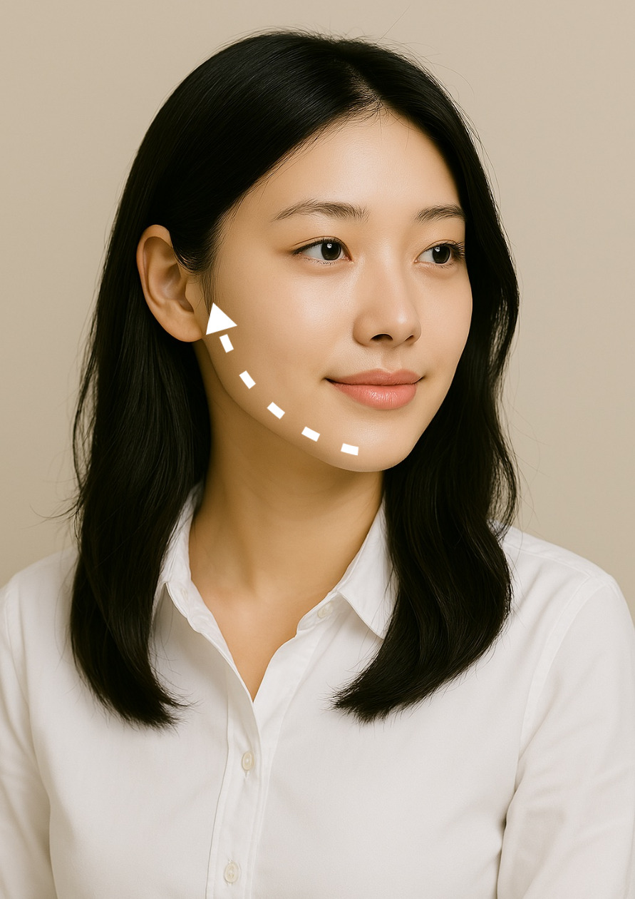 브이녹스 이미지