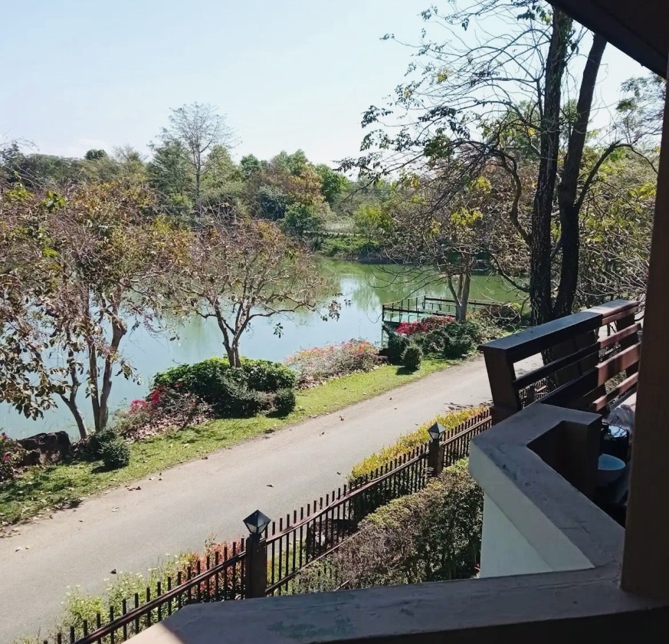 코쿤투어(cocoontour) 이미지