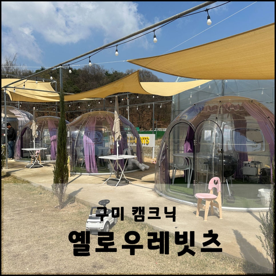 옐로우레빗츠 이미지