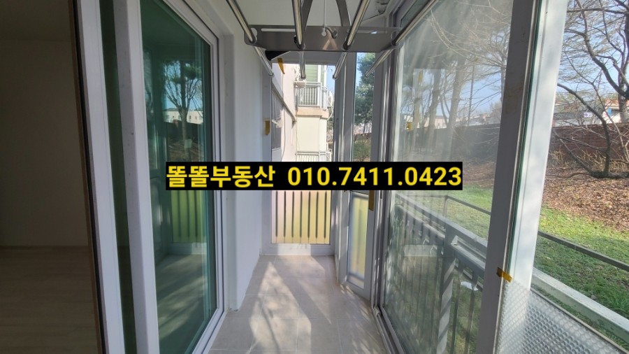 동심예능유치원 이미지