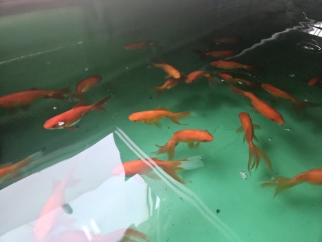 비케이시스템 이미지