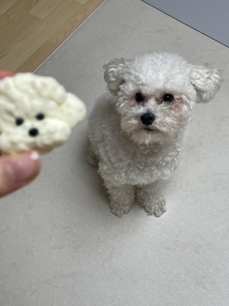 온카페 이미지