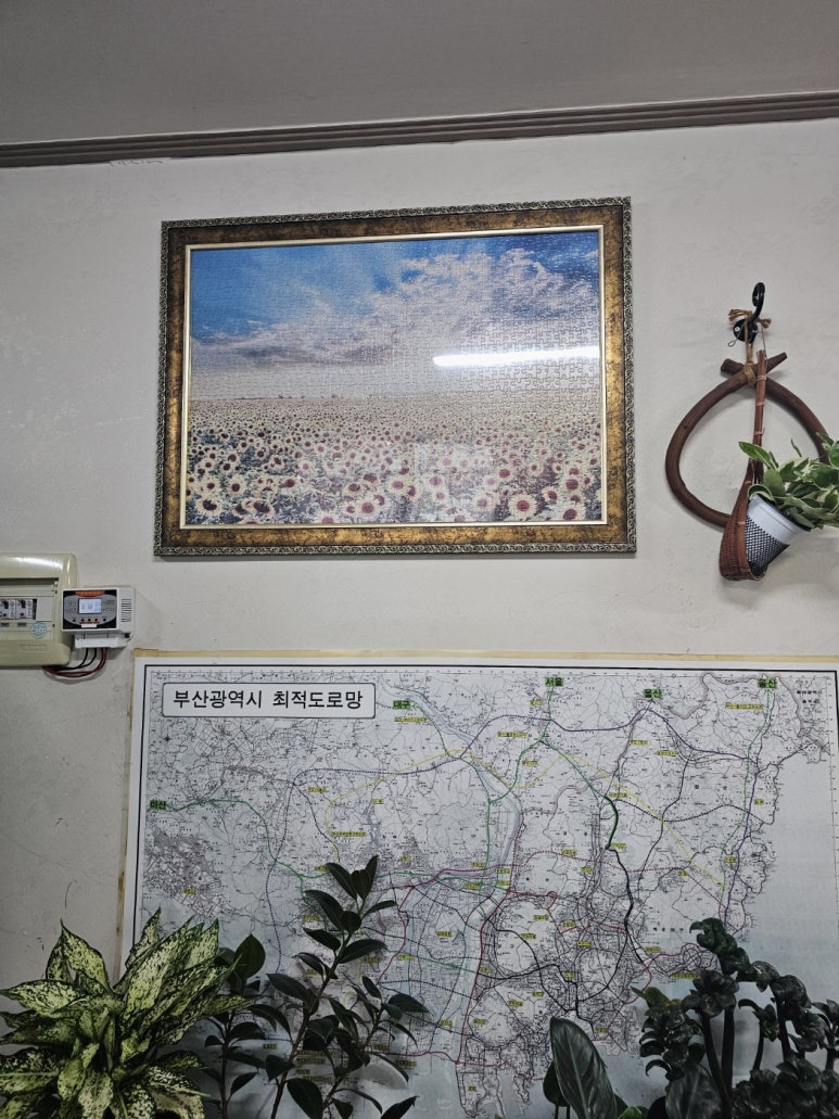 유신부동산 이미지