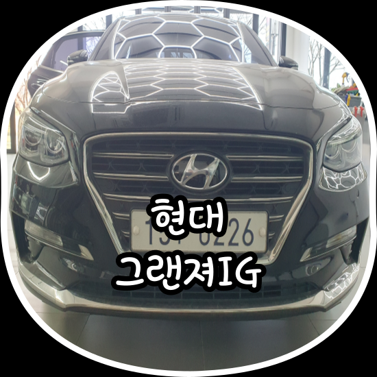 김프로카케어 이미지