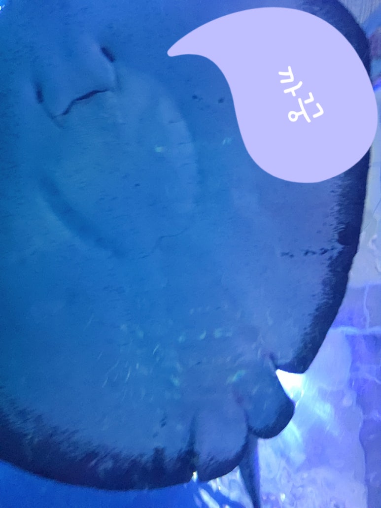 설악산상회 이미지