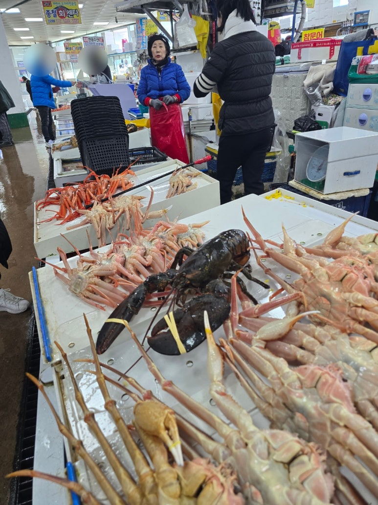 영덕대게 이미지