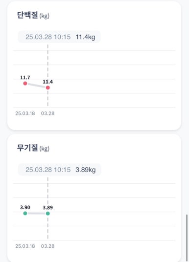 터트 이미지