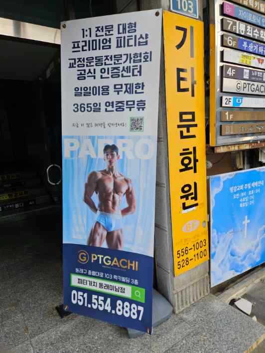 피티가치 이미지