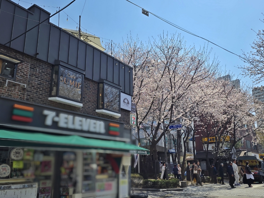 썸이프 이미지