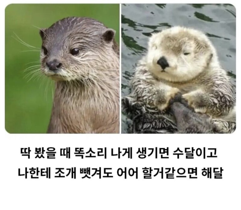 전주비빔밥(주) 이미지