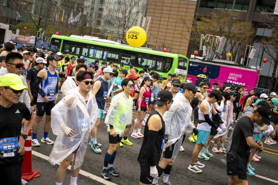 다여기 이미지
