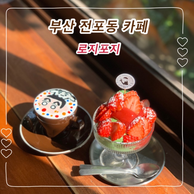 로지포지 이미지
