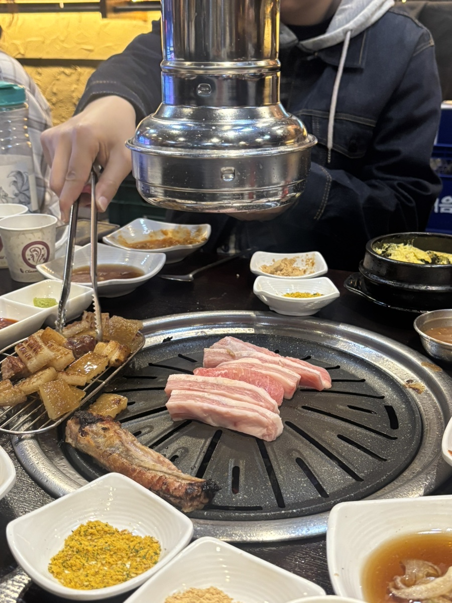 돼지청 이미지