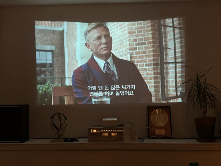 올더버드 이미지