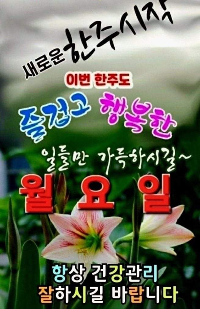 에이스종합관리 이미지