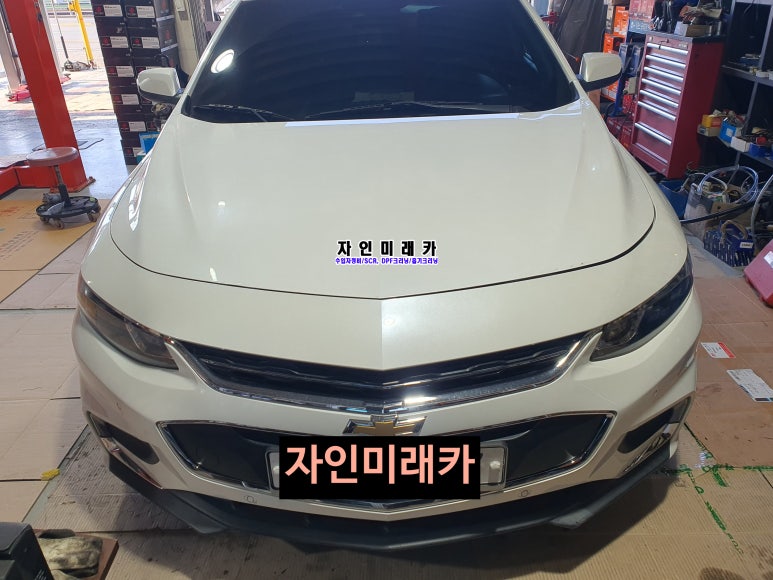자인미래카 이미지