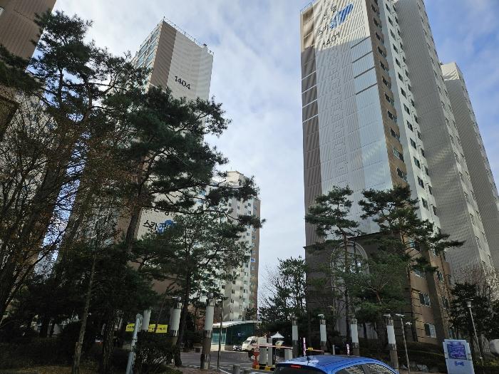 스카이뷰 이미지