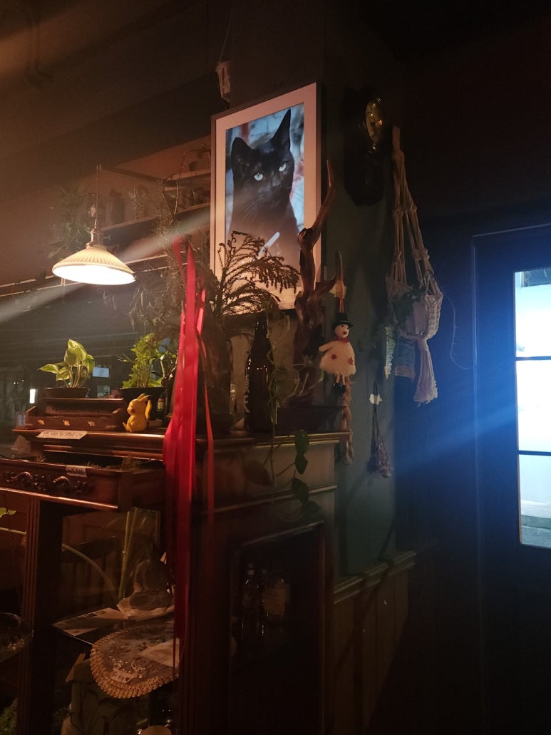 센스노래크럽 이미지