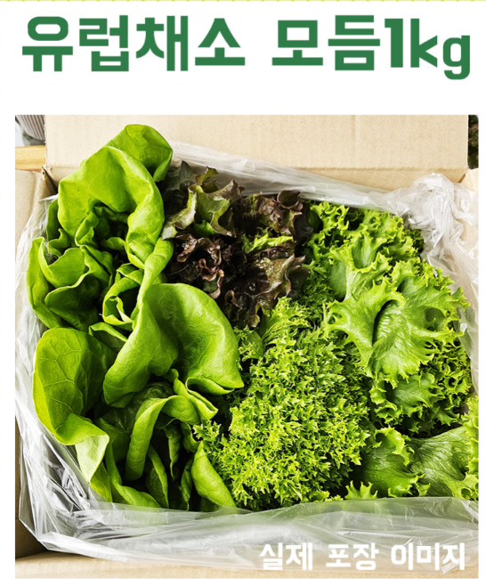 채소사는곳 이미지
