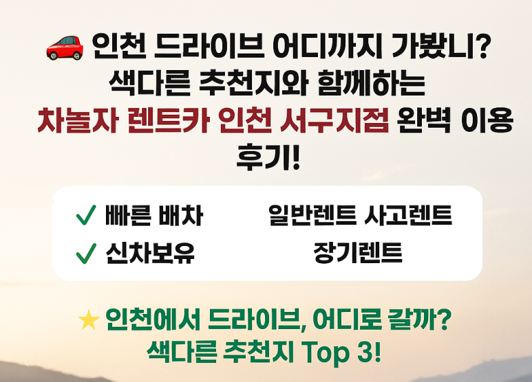 차놀자렌트카 이미지