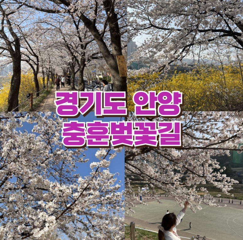 충훈매점 이미지