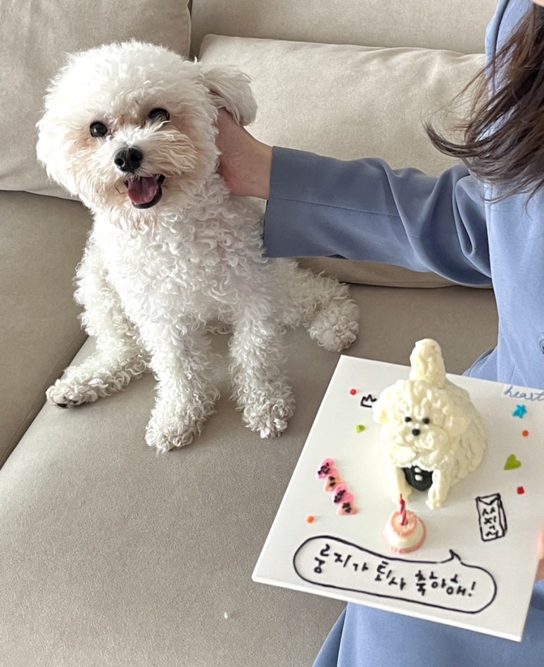 온카페 이미지