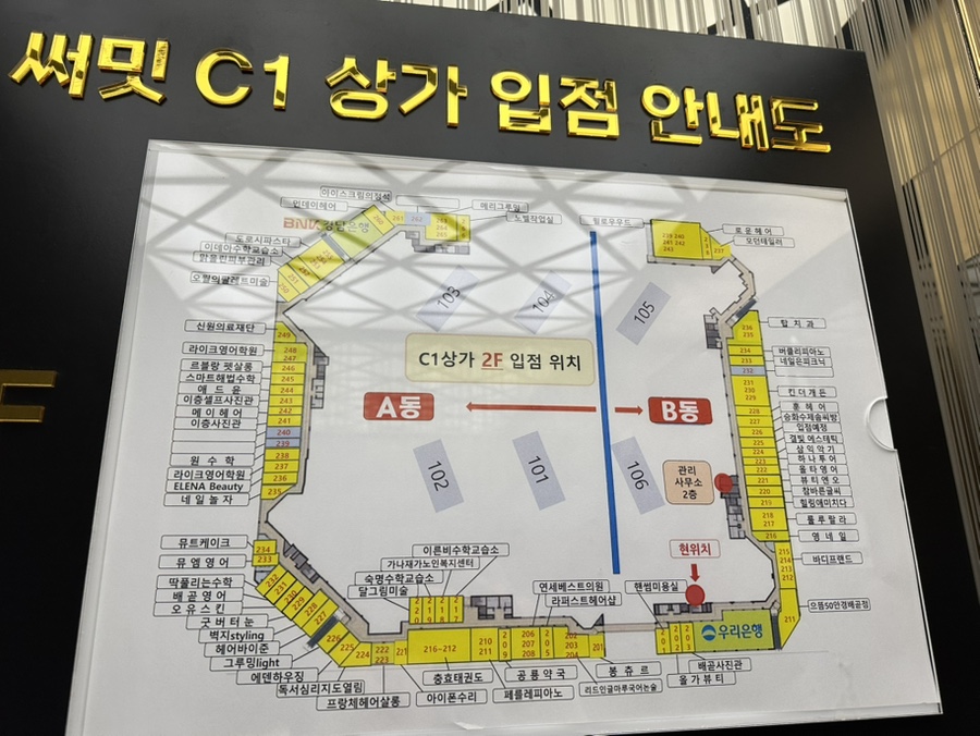 윌로우네일 이미지