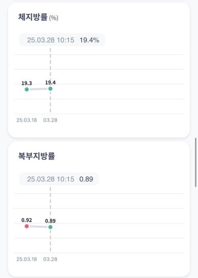 터트 이미지