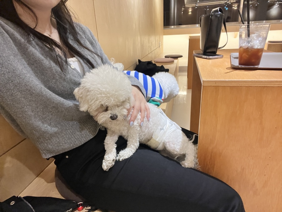 카페댕하우스 이미지
