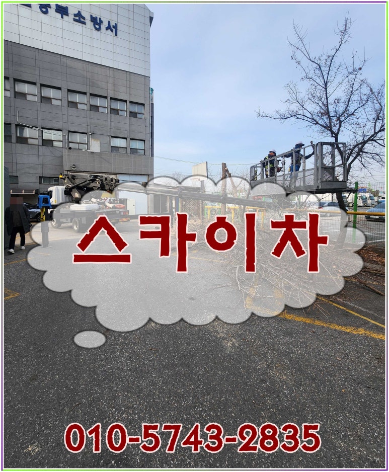 마치스카이 이미지