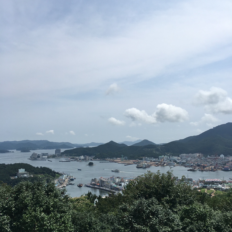 킹푸룻 이미지