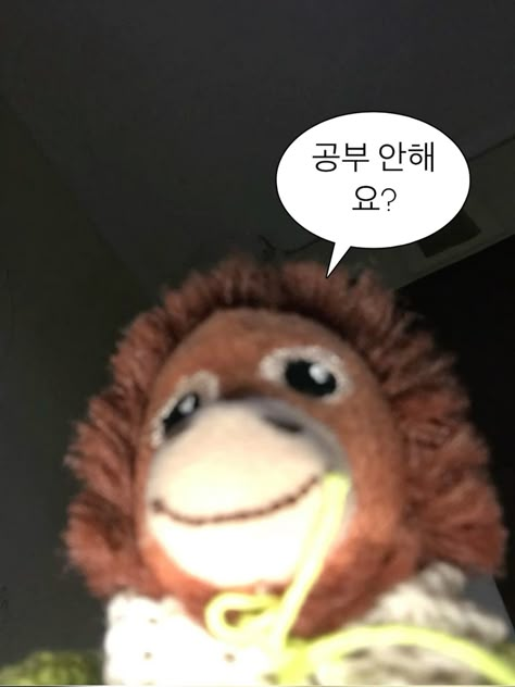 빈둥 이미지