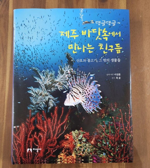 댕글댕글 이미지