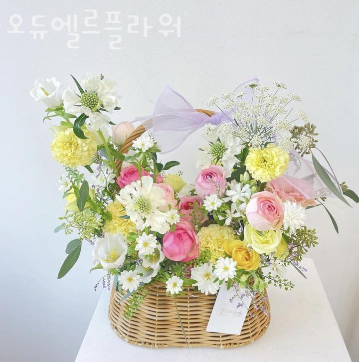 홍루이젠목감 이미지