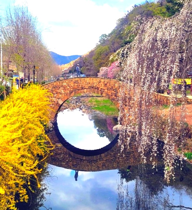 영산산림 이미지