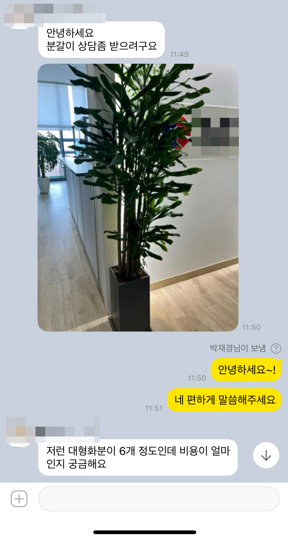 풀애 이미지