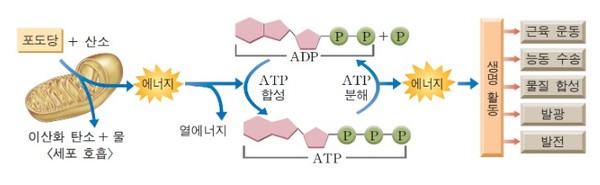 포시즌스요양병원 이미지
