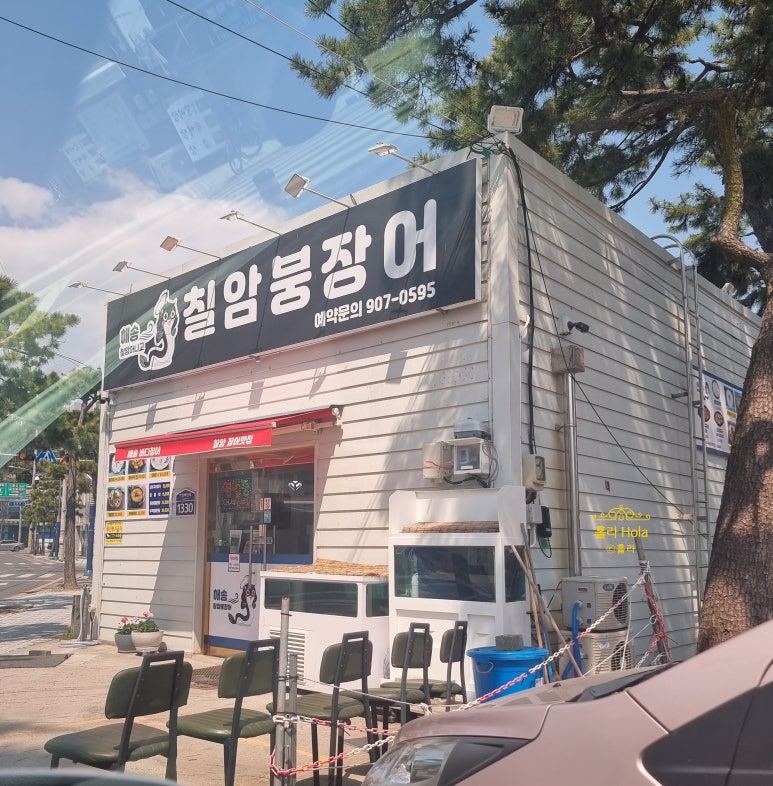 해송칠암붕장어 이미지