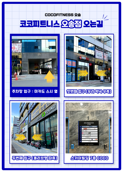 코코휘트니스 이미지