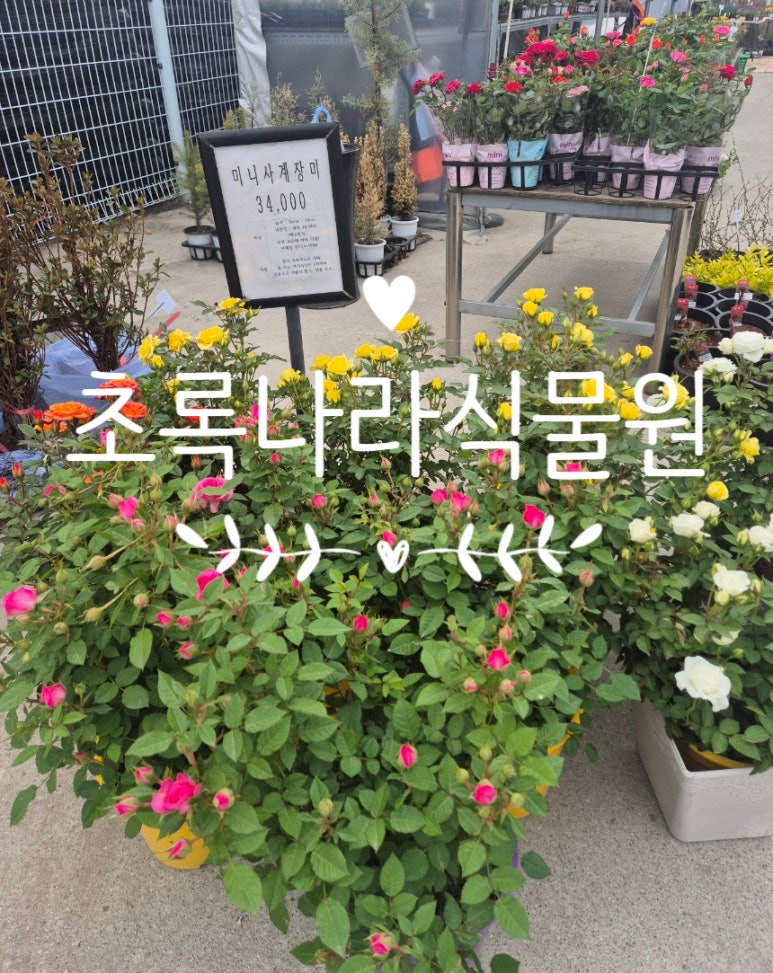 초록나라식물원 이미지