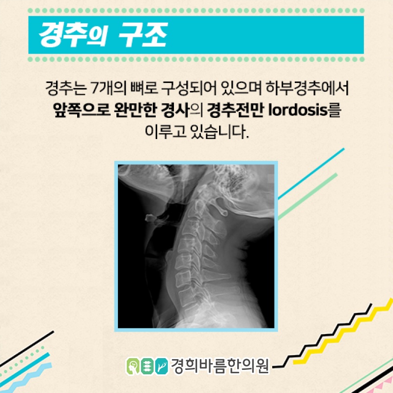 남이경희한의원 이미지