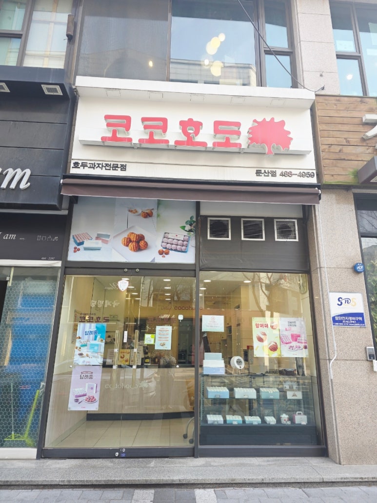 코코호도 둔산점 이미지