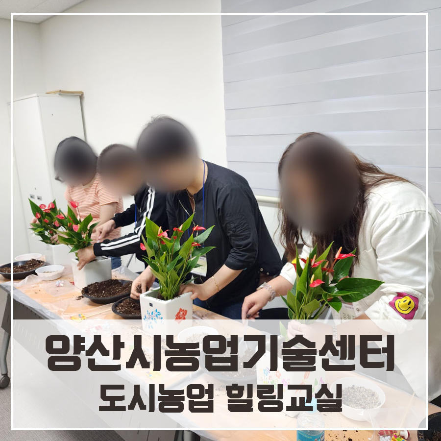 자연in원예센터 이미지