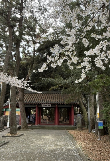 (주)아름다운제주여행 이미지