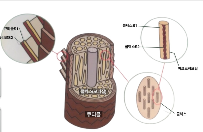 미니미장원 이미지