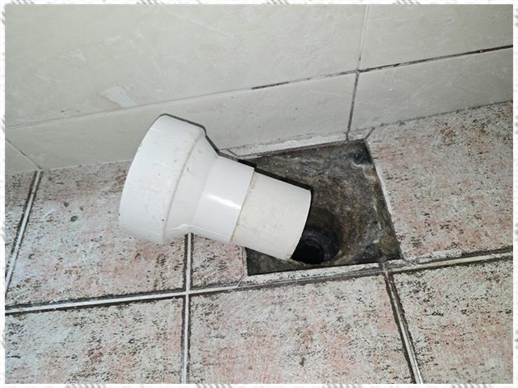 흰돌인터넷 이미지