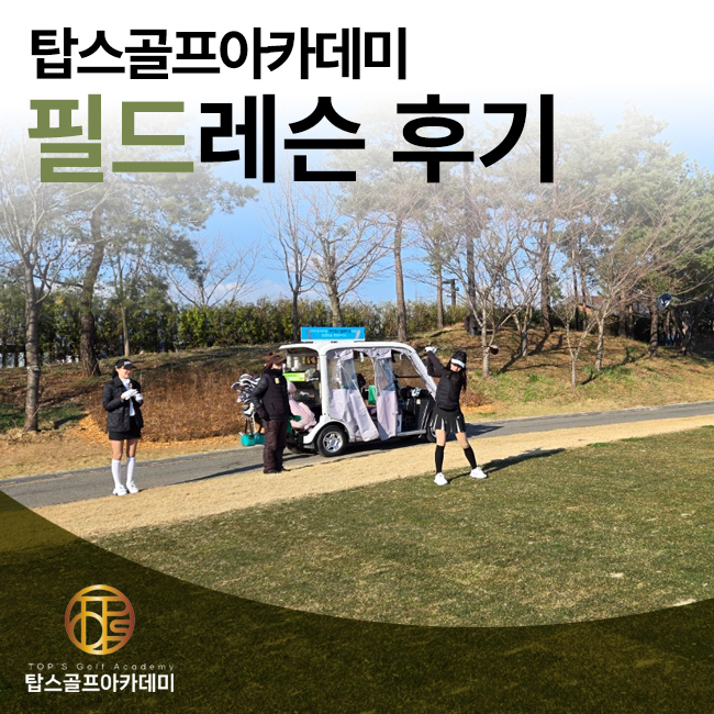 솔트필드 이미지